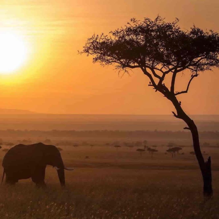 3 Days Safari – Tarangire, Ngorongoro Crater, Lake Manyara