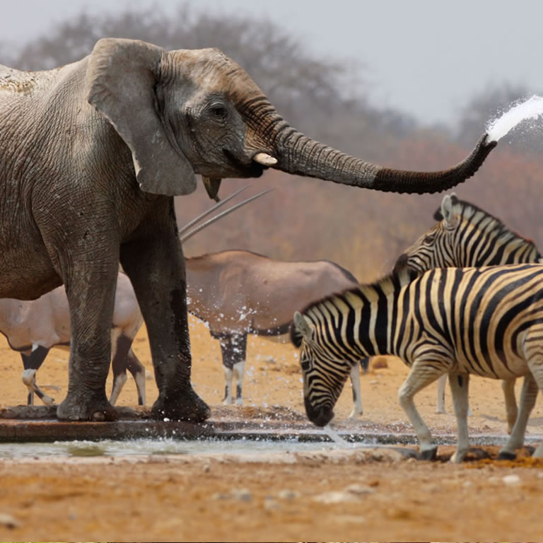 2 Days Safari -Lake Manyara and Ngorongoro Crater