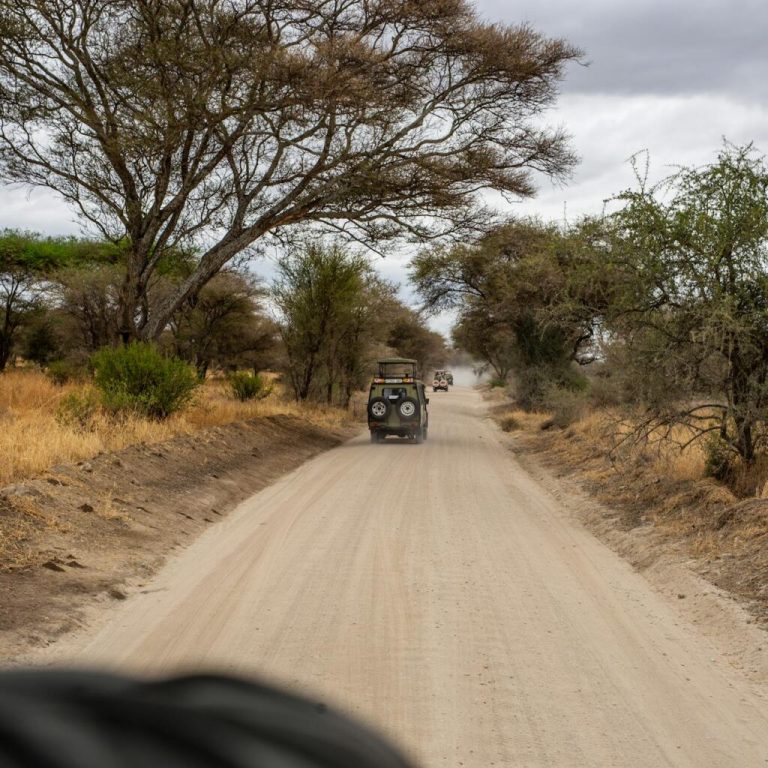 6 Days Safari – Tarangire, Lake Manyara, Serengeti, Ngorongoro Crater