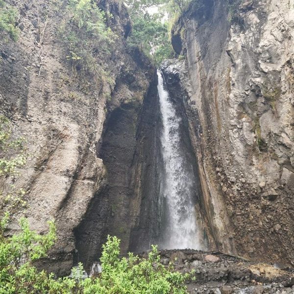 Arusha national park 600x600