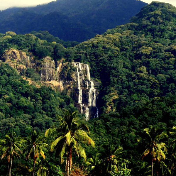 Mahale mountains national park 600x600