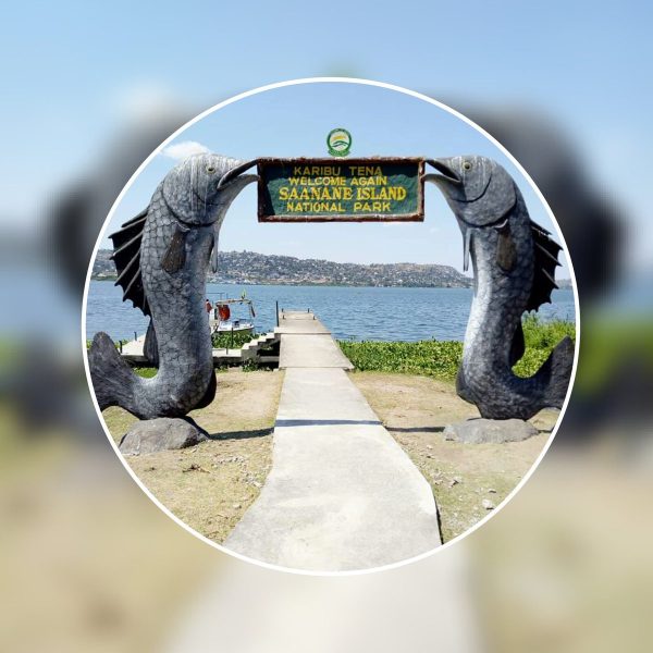 Saanane national park 600x600