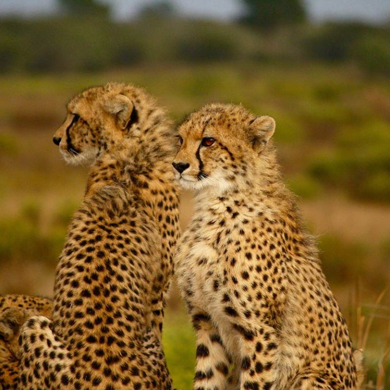 Serengeti National Park