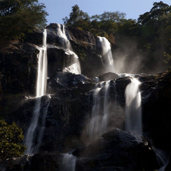Udzungwa mountains national park 600x600
